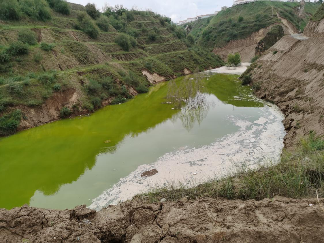 1598424296496041625.png 图片1.png